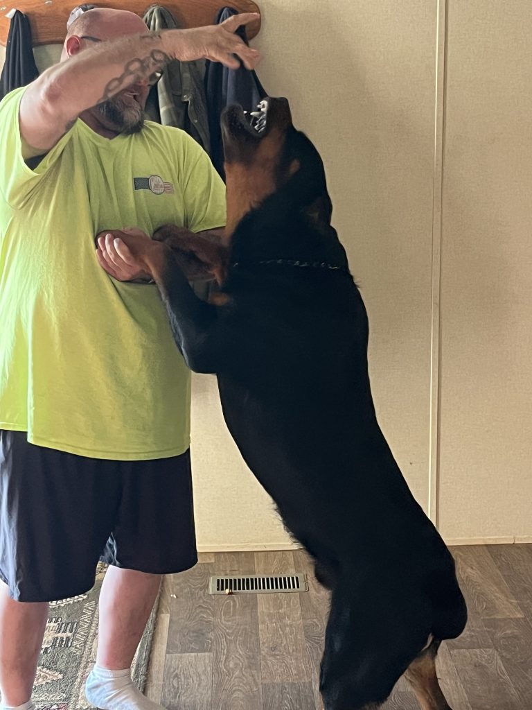 Diesel - The German Rottweiler